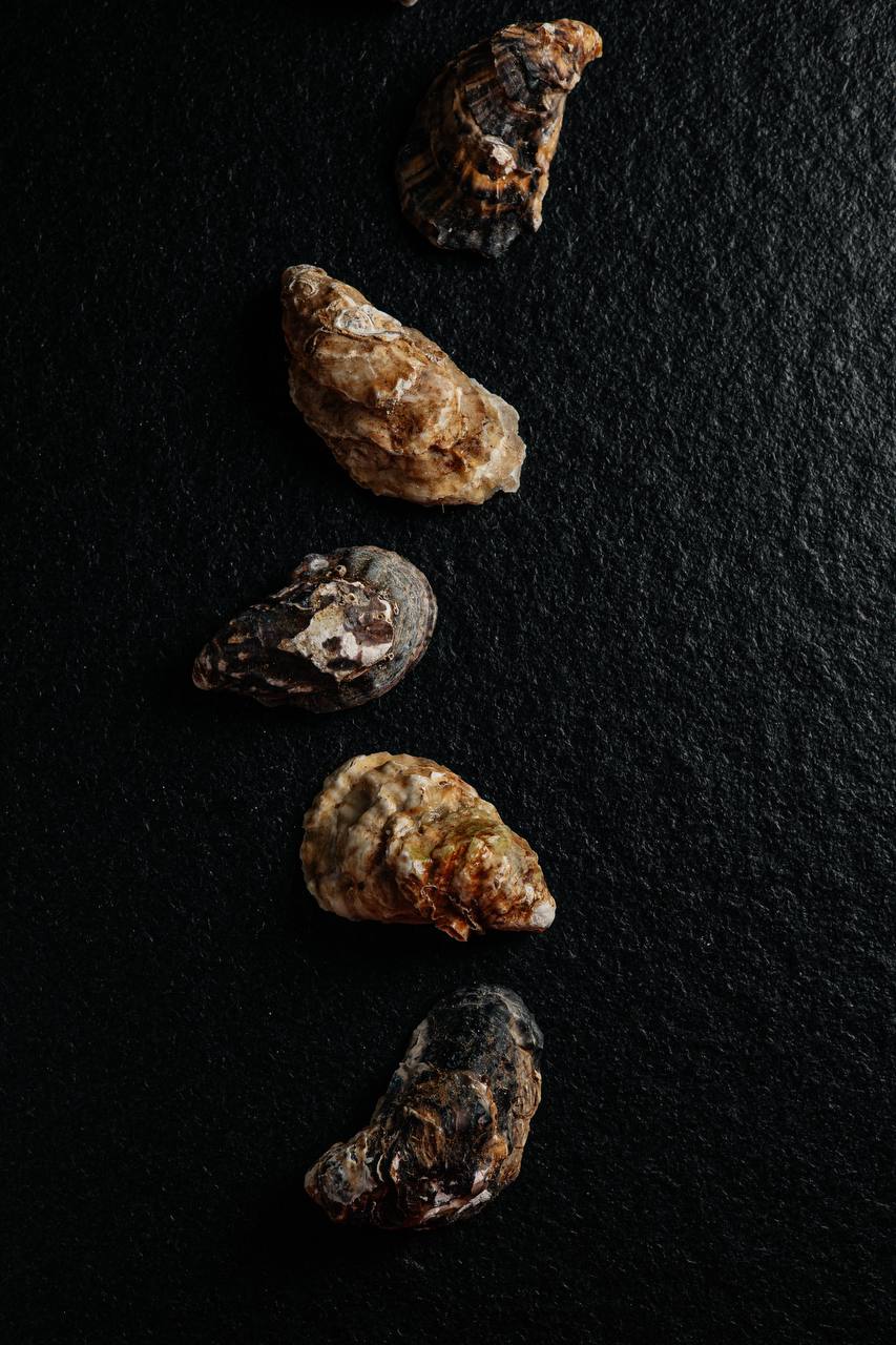 Self Edge Japanese 1.jpg