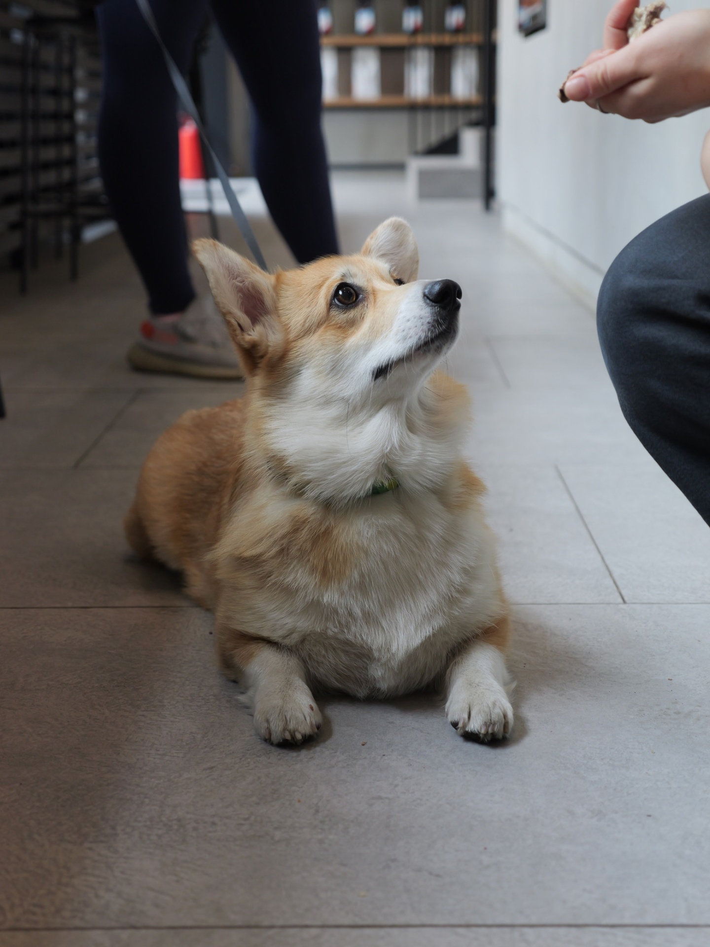 mad espresso team 2.JPG