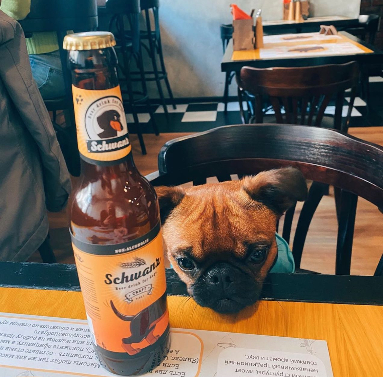 Мясонская Ложа.PNG