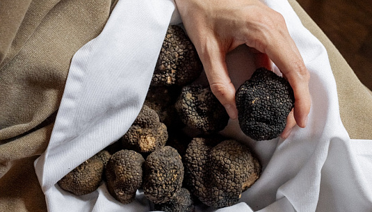 Трюфели Петербурга: исчерпывающий гид