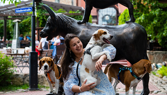 Друзей дома не бросают. Pet-friendly-заведения Петербурга